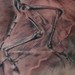 tattoo galleries/ - untitled